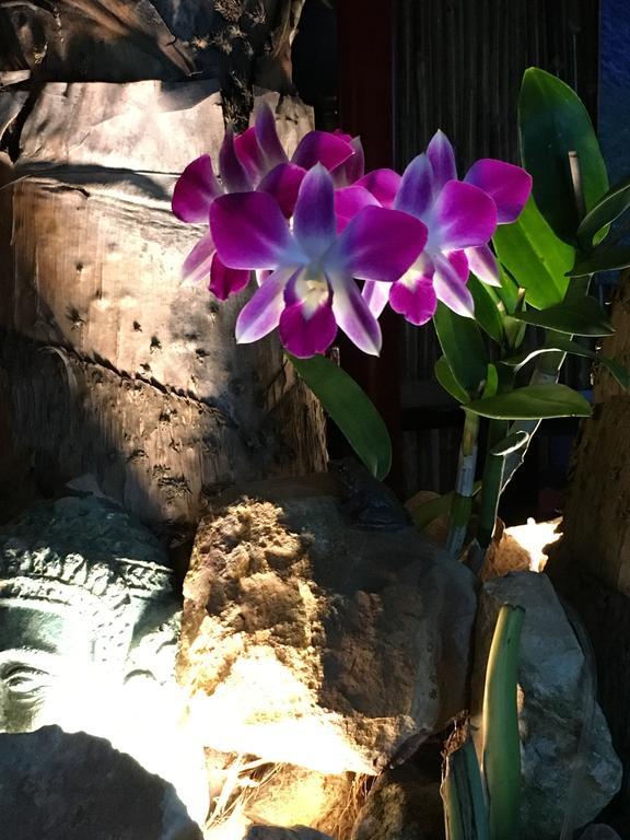 Resort La Villa Loti Siem Reap Zewnętrze zdjęcie