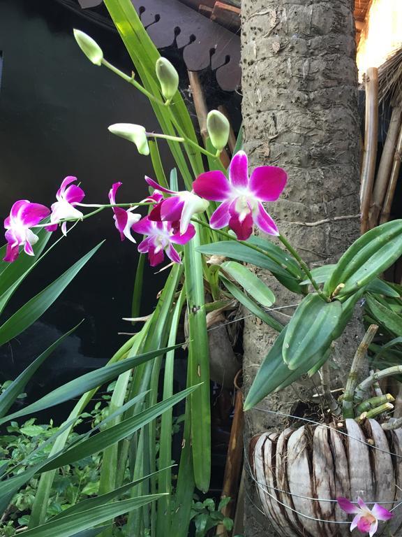 Resort La Villa Loti Siem Reap Zewnętrze zdjęcie